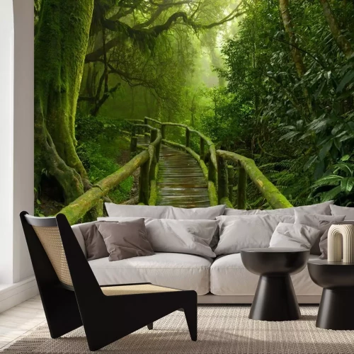 Papier peint  Pont en bois recouvert de mousse sous les tropiques