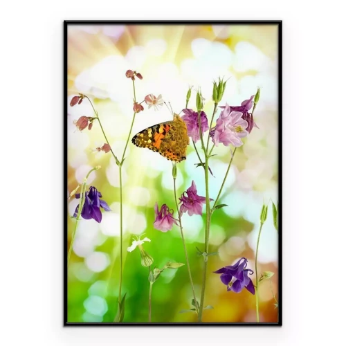 Poster  Papillon sur des fleurs sauvages