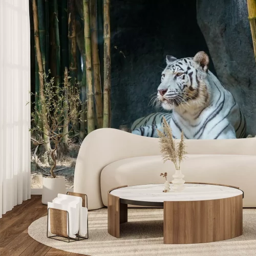 Papier peint  Tigre couché devant un bambou