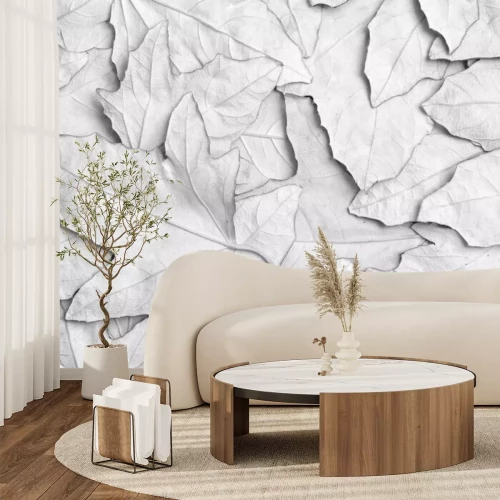 Papier peint  Fond 3D avec feuilles blanches