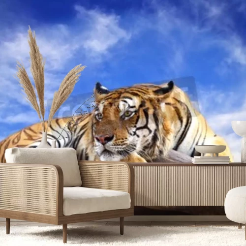 Papier peint  Tigre sur le ciel bleu