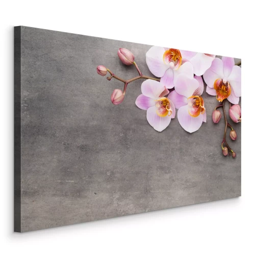 Tableau  Orchidées roses sur béton gris