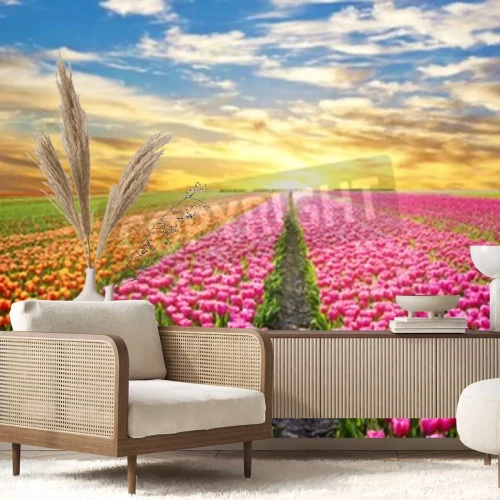 Papier peint  Lever de soleil sur un champ de tulipes