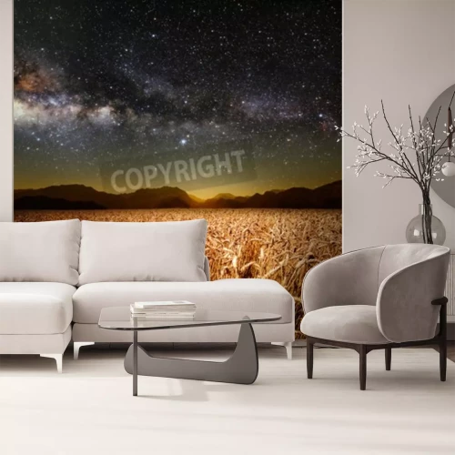 Papier peint  Champ de blé et ciel étoilé