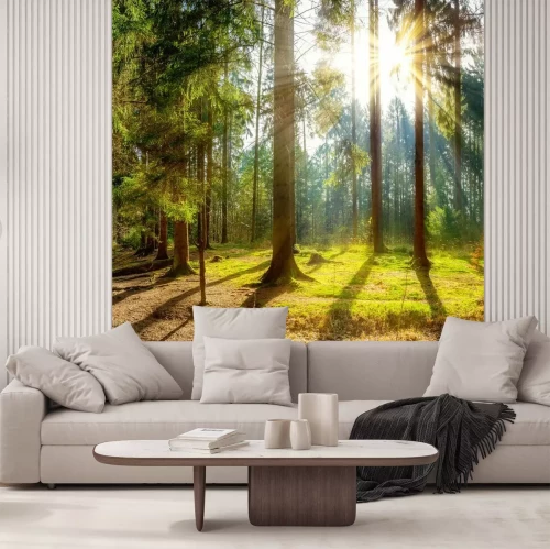 Papier peint  De grands arbres au soleil