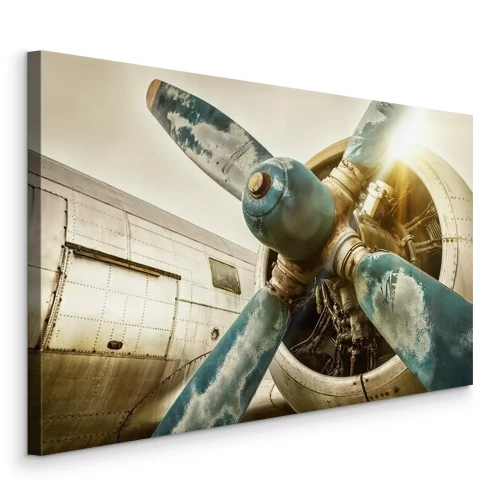 Tableau  Vieil avion