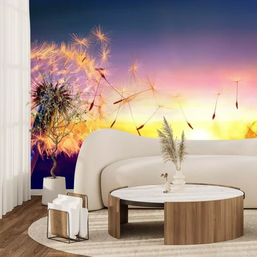 Papier peint  Souffleur sur fond de coucher de soleil