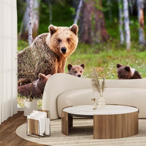 Papier peint  Une famille d'ours dans une clairière verte