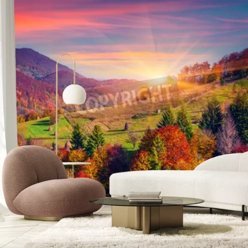 Papier peint  Lever de soleil et arbres d'automne