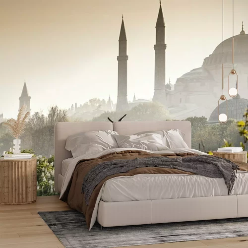 Papier peint  La mosquée bleue d'Istanbul au petit matin