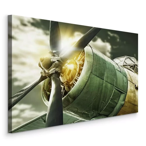 Tableau  Vieil avion