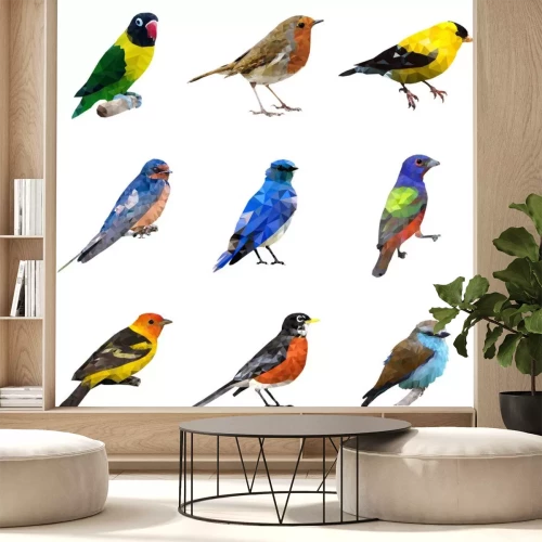 Sticker  Différents types d'oiseaux