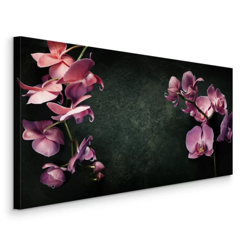 Tableau  Orchidée rose sur fond noir