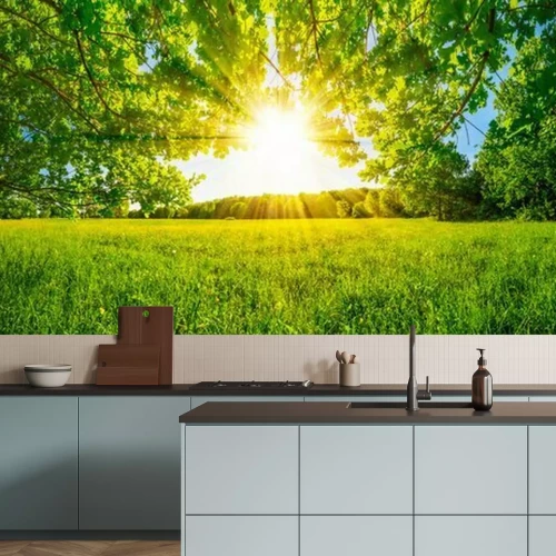 Papier peint  Du soleil et une prairie