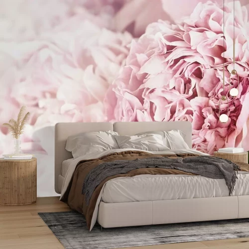 Papier peint  Peonies et lumière du soleil