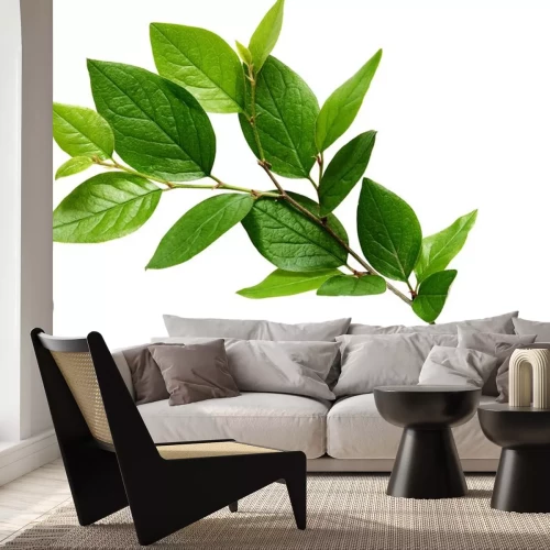 Sticker  Brindille, vert, feuilles