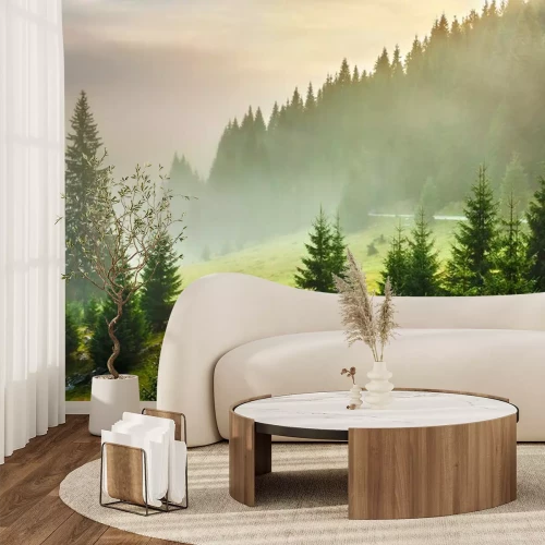 Papier peint  Herbe verte et arbres sur le flanc d'une montagne