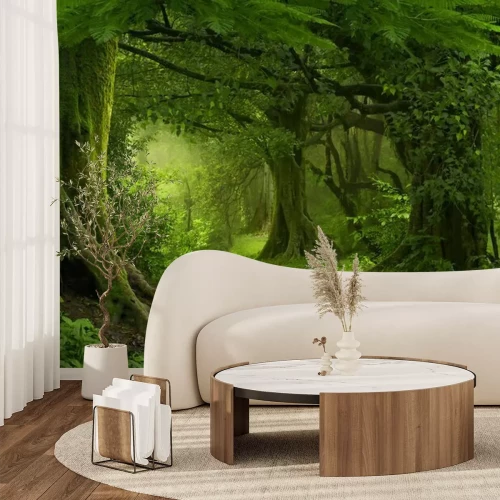 Papier peint  Jungle tropicale en Asie du Sud-Est