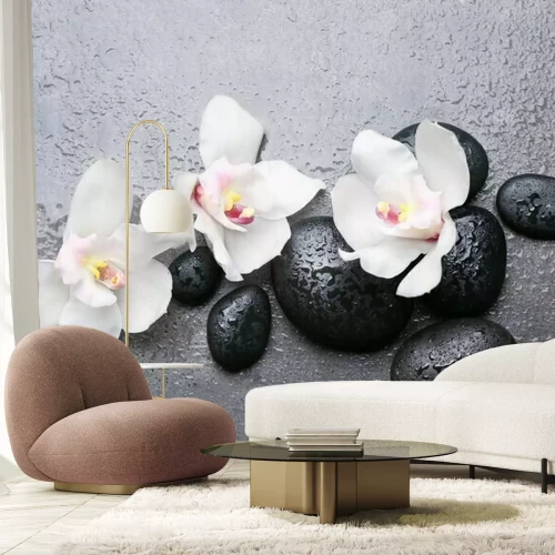 Papier peint  Spa, pierres, blanc, orchidée, gris, fond