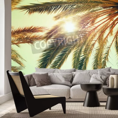 Papier peint  Soleil et ciel tropicaux