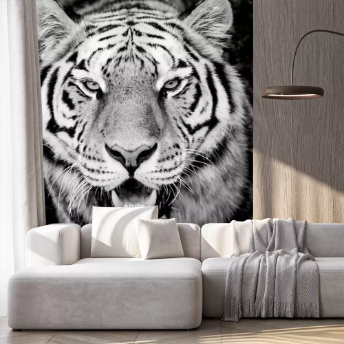 Papier peint  Tigre montrant ses crocs