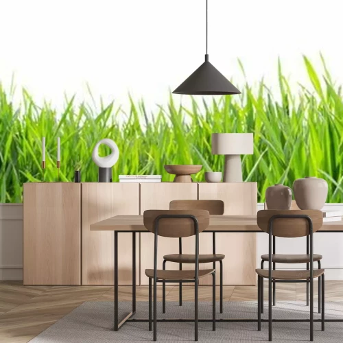 Papier peint  Herbe verte sur fond blanc
