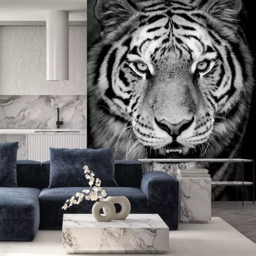 Papier peint  Portrait de tigre noir et blanc
