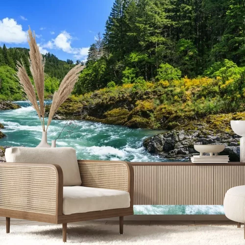 Papier peint  Rivière de montagne dans le parc national North Cascades