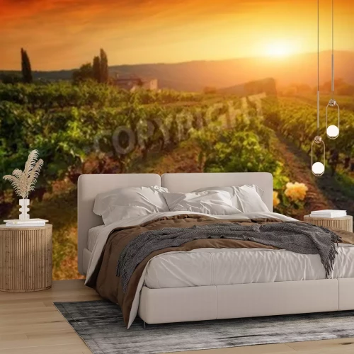 Papier peint  Coucher de soleil orange derrière un vignoble