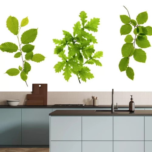 Sticker  Feuilles vertes isolé sur blanc.