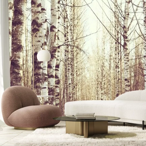 Papier peint  Paysage de mars d'une forêt de bouleaux
