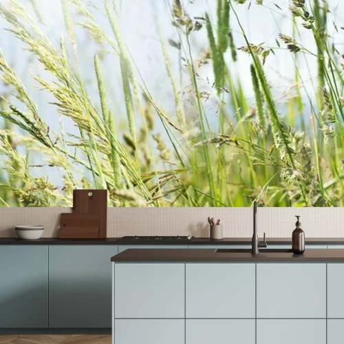 Papier peint  Gros plan sur des herbes folles