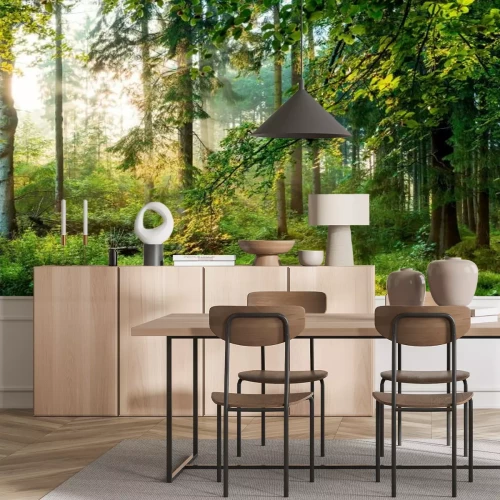 Papier peint  Lever de soleil dans la forêt