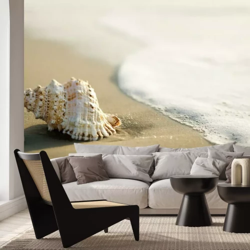 Papier peint  Coquillage sur une plage