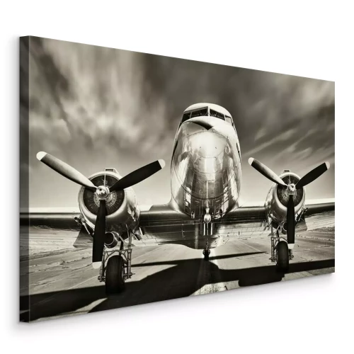 Tableau  Un avion sur une photo en noir et blanc