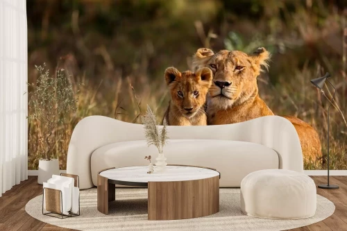 Visualisation du produit