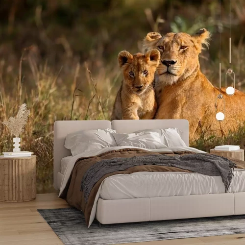 Papier peint  Famille de lions