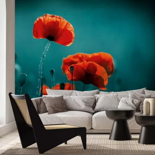 Papier peint  Rouge coquelicots sur un fond flou