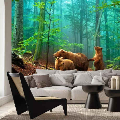 Papier peint  Animaux dans la forêt