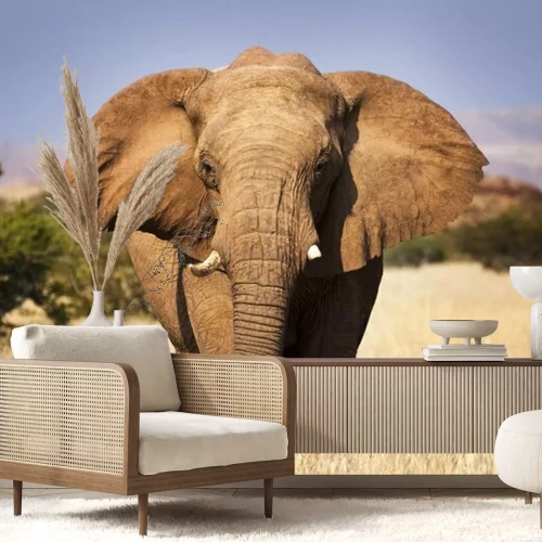 Papier peint  Eléphant africain dans la savane
