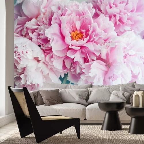 Papier peint  Pivoines roses en fleurs sur fond bleu