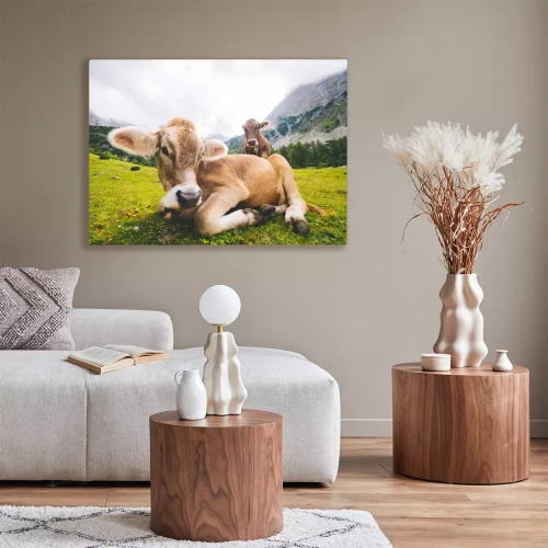 Visualisation du produit