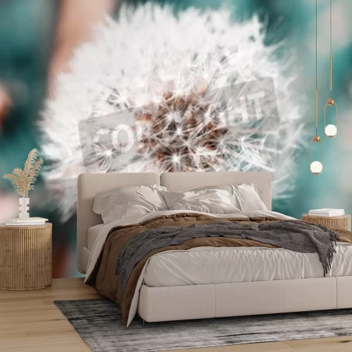 Papier peint  Gros plan d'une tête de pissenlit