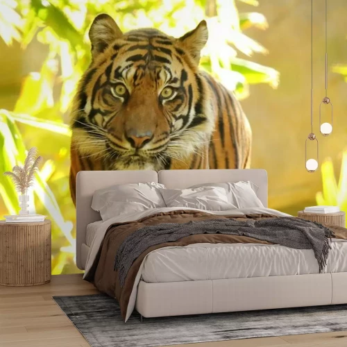 Papier peint  Animal sauvage dans la jungle