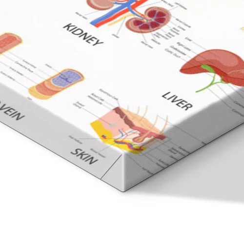 Visualisation du produit