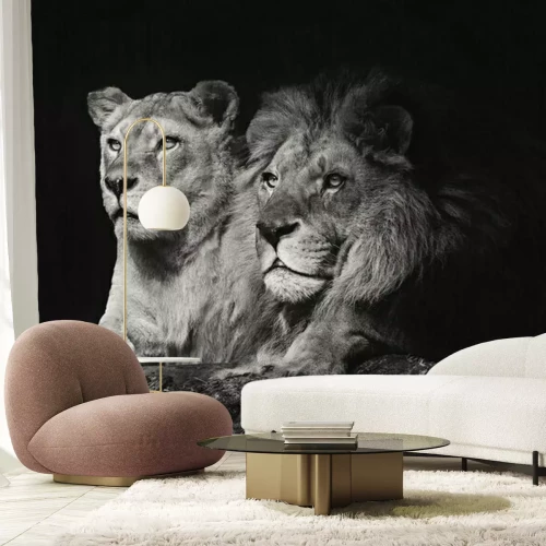 Papier peint  Portrait en noir et blanc d'un couple de lions
