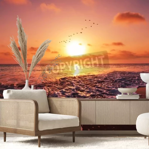 Papier peint  Oiseaux de mer et coucher de soleil