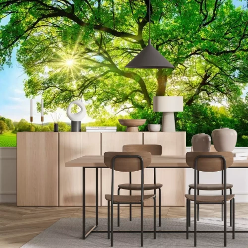 Papier peint  Prairie avec un arbre par une journée ensoleillée