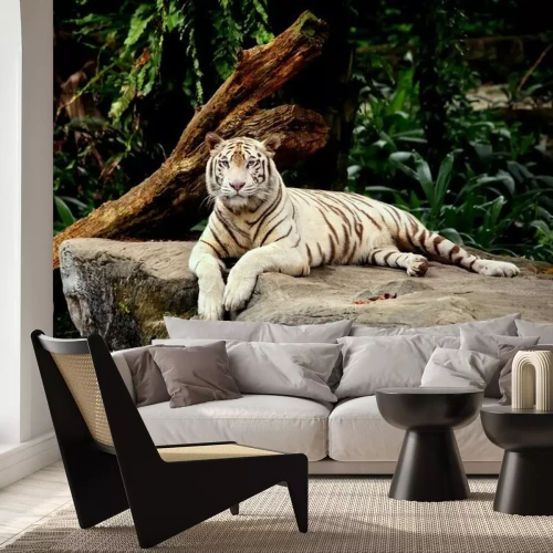 Papier peint  Tigre allongé