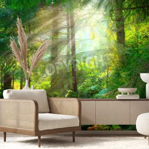 Papier peint  Beau paysage brumeux forêt verte